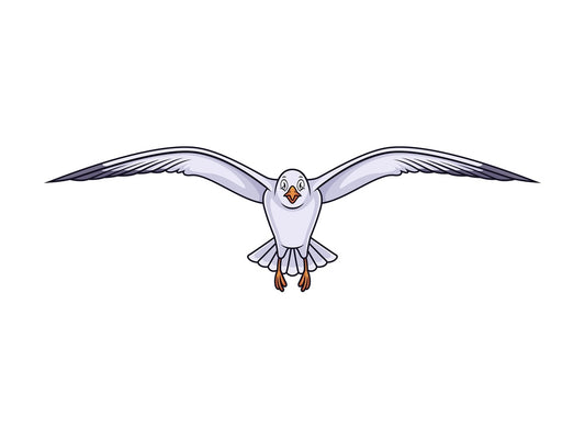 Front view seagull flying. PNG - JPG and vector EPS (infinitely scalable).