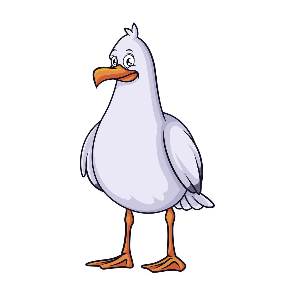 Standing seagull. PNG - JPG and vector EPS (infinitely scalable).