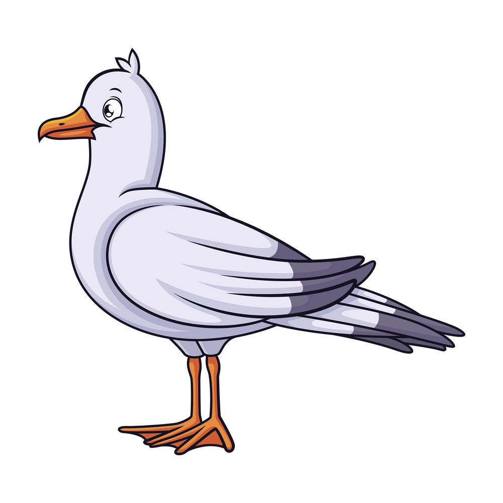 Seagull side view. PNG - JPG and vector EPS (infinitely scalable