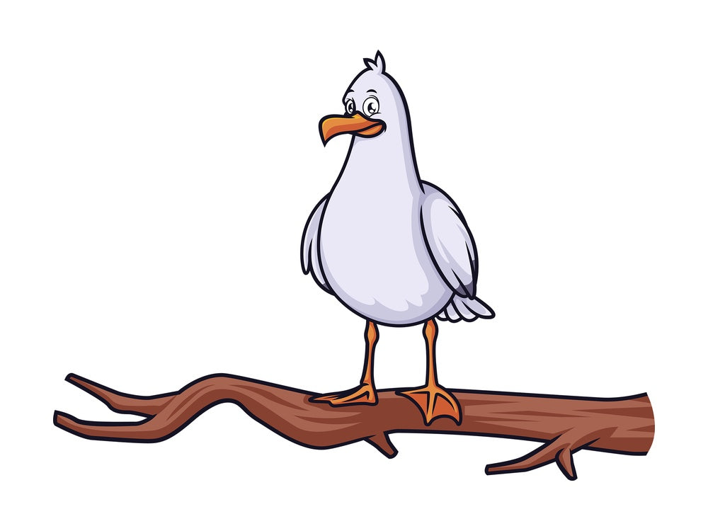 Seagull on tree branch. PNG - JPG and vector EPS (infinitely scalable).