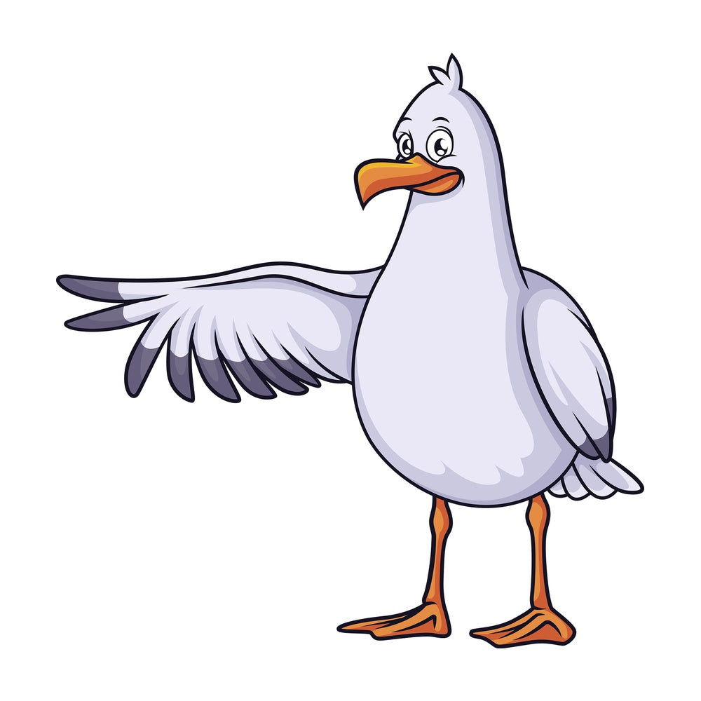 Seagull pointing with wing. PNG - JPG and vector EPS (infinitely scalable).