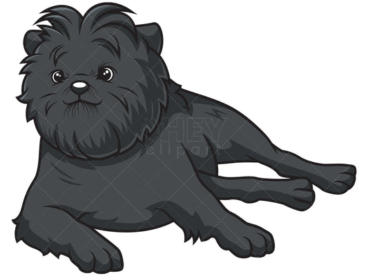 Royalty-free stock vector illustration of an affenpinscher lying down.