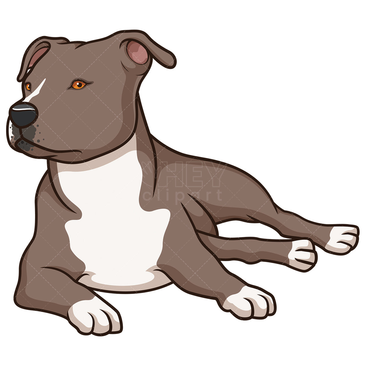 Royalty-free stock vector illustration of an american staffordshire terrier lying down.