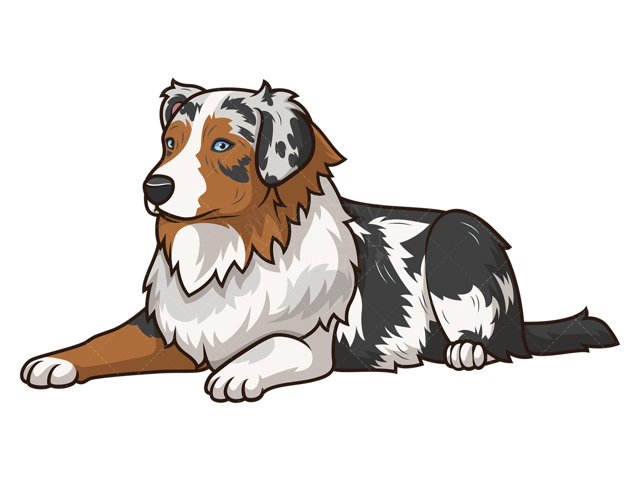 Royalty-free stock vector illustration of an australian shepherd lying down.