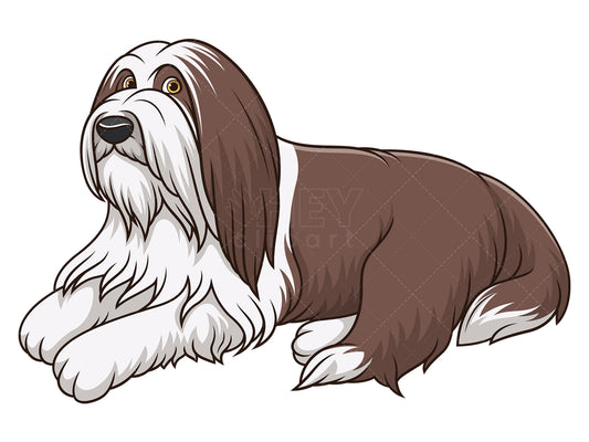 Royalty-free stock vector illustration of a bearded collie dog lying down.