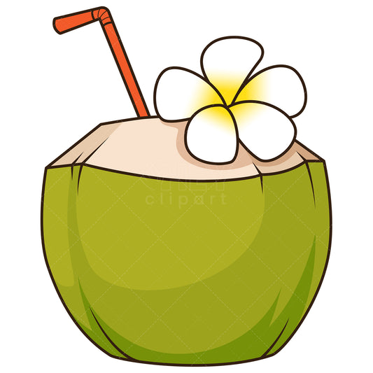 Royalty-free stock vector illustration of a coconut drink.