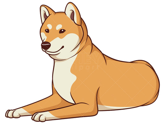 Royalty-free stock vector illustration of a shiba inu lying down.