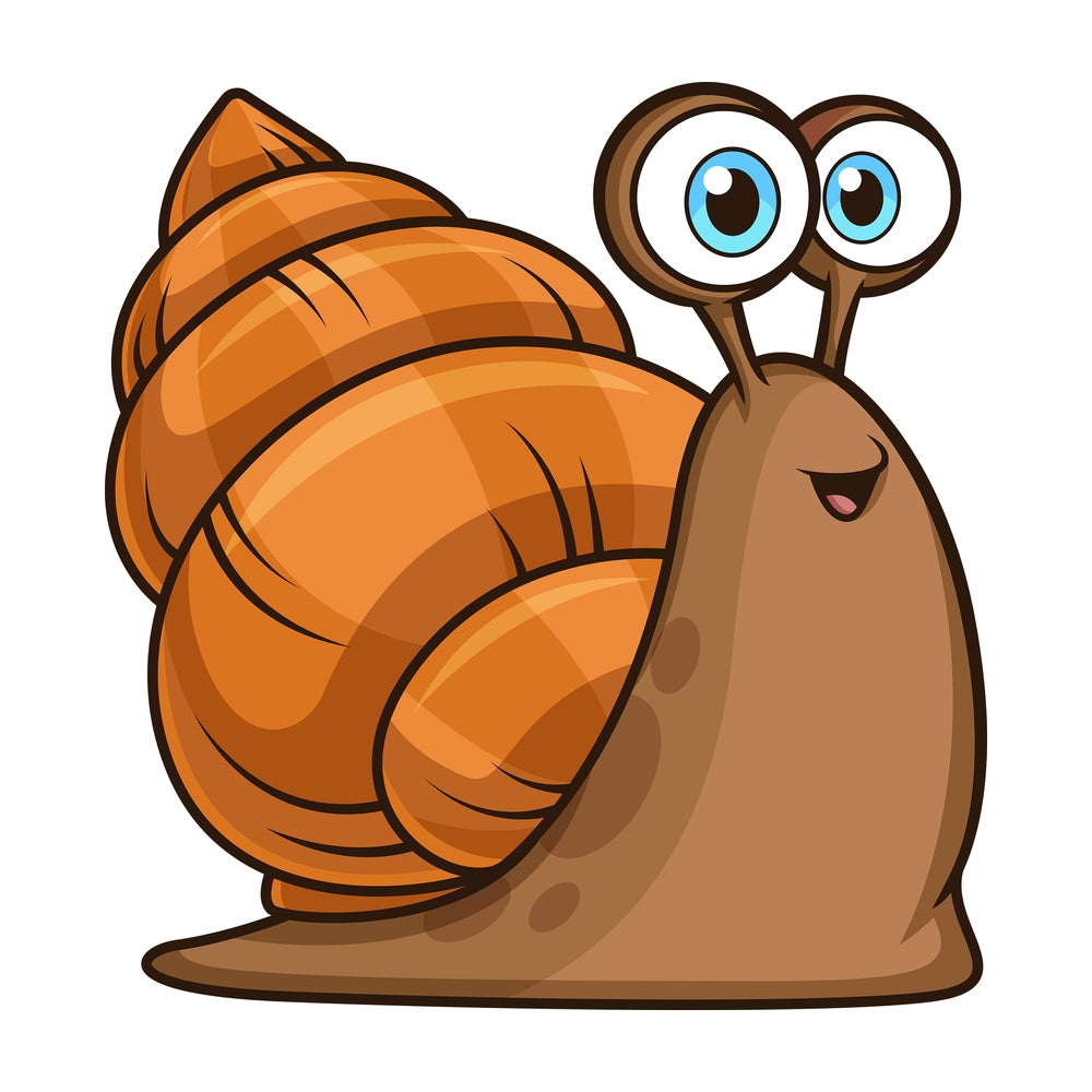 Happy sea snail. PNG - JPG and vector EPS file formats (infinitely scalable). Image isolated on transparent background.