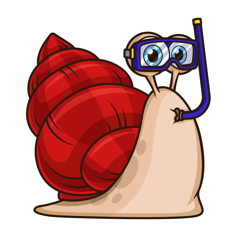 Sea snail with mask and snorkel. PNG - JPG and vector EPS file formats (infinitely scalable). Image isolated on transparent background.