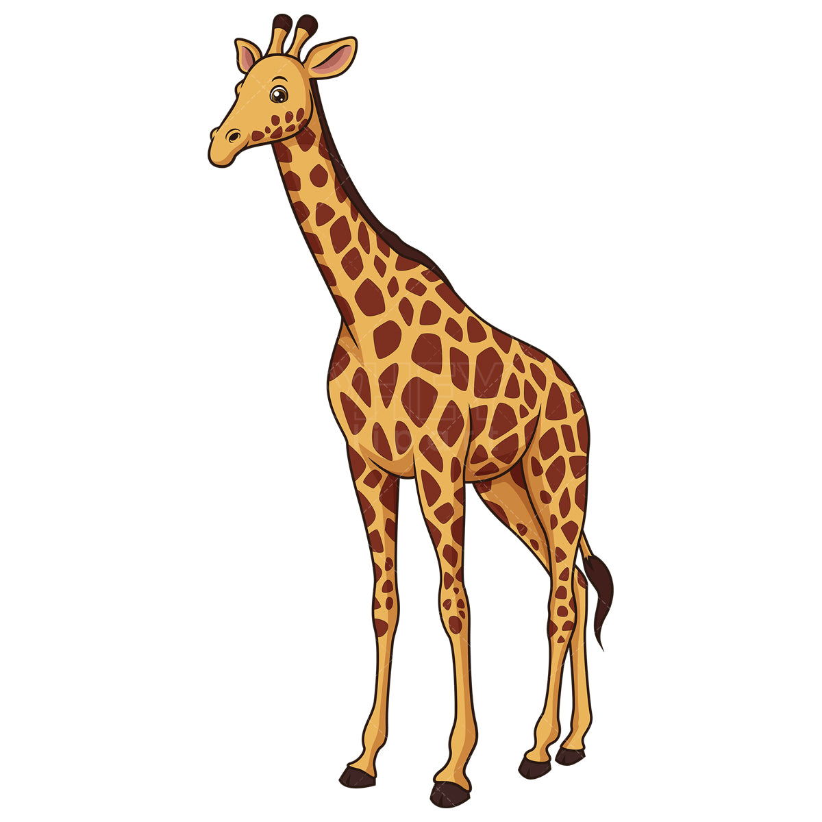 Royalty-free stock vector illustration of a realistic giraffe.