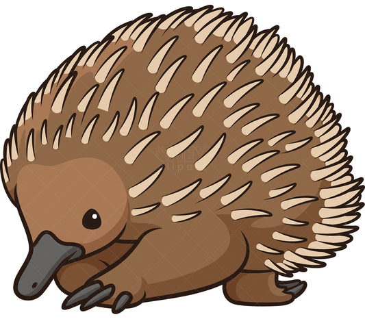 Royalty-free stock vector illustration of a short-beaked echidna in chibi kawaii style.