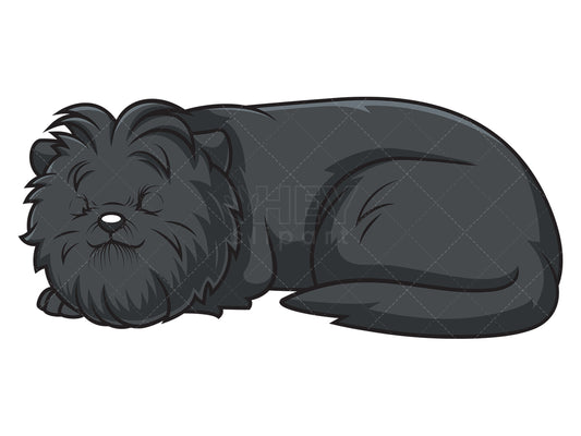 Royalty-free stock vector illustration of a sleeping affenpinscher.