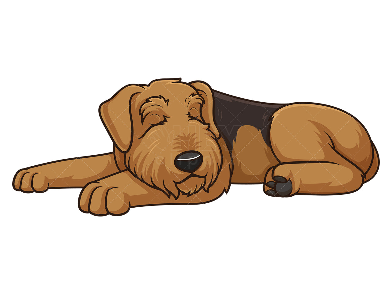 Royalty-free stock vector illustration of a sleeping airedale terrier.