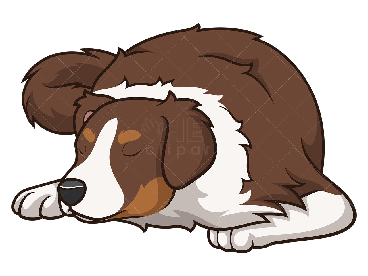 Royalty-free stock vector illustration of a sleeping australian shepherd.