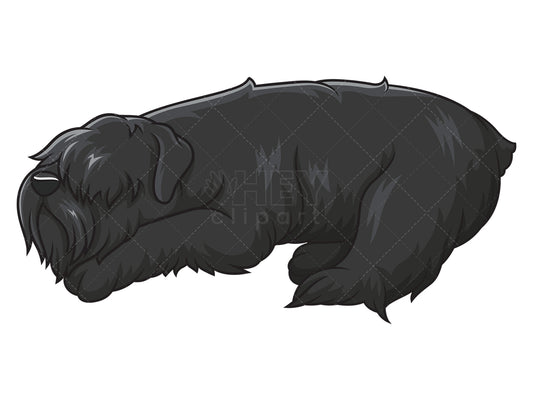 Royalty-free stock vector illustration of a sleeping black russian terrier.