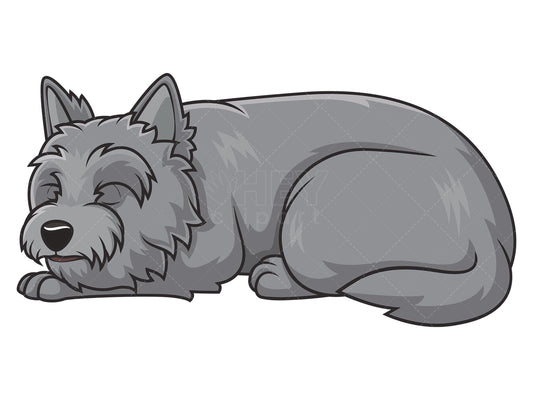 Royalty-free stock vector illustration of a sleeping cairn terrier.