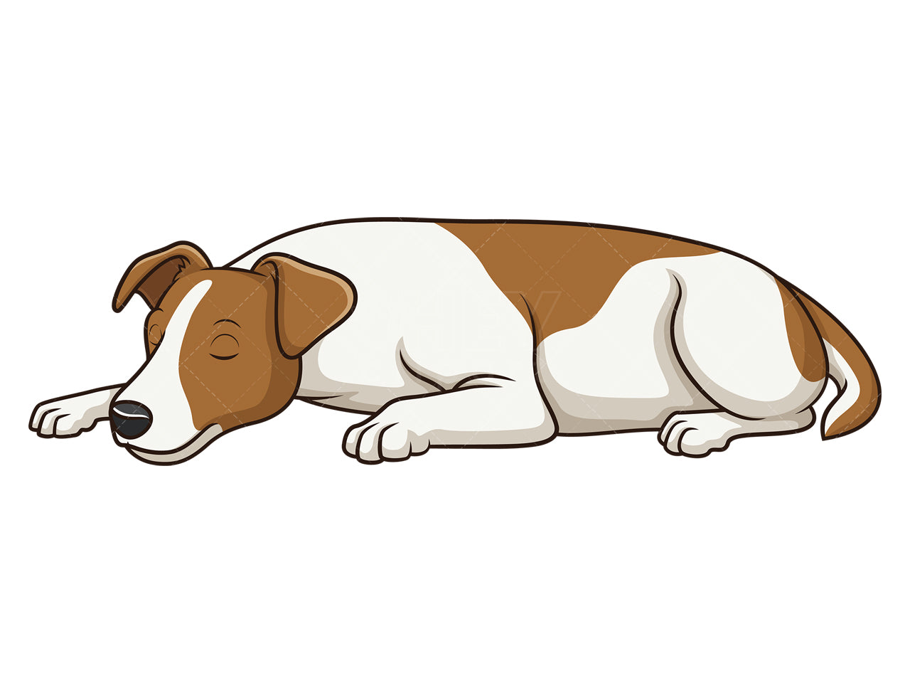 Royalty-free stock vector illustration of a sleeping jack russell dog.