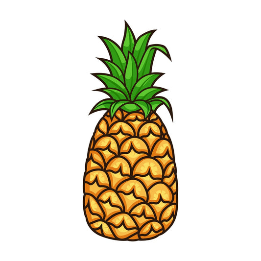 Tropical pineapple. PNG - JPG and vector EPS file formats (infinitely scalable). Image isolated on transparent background.