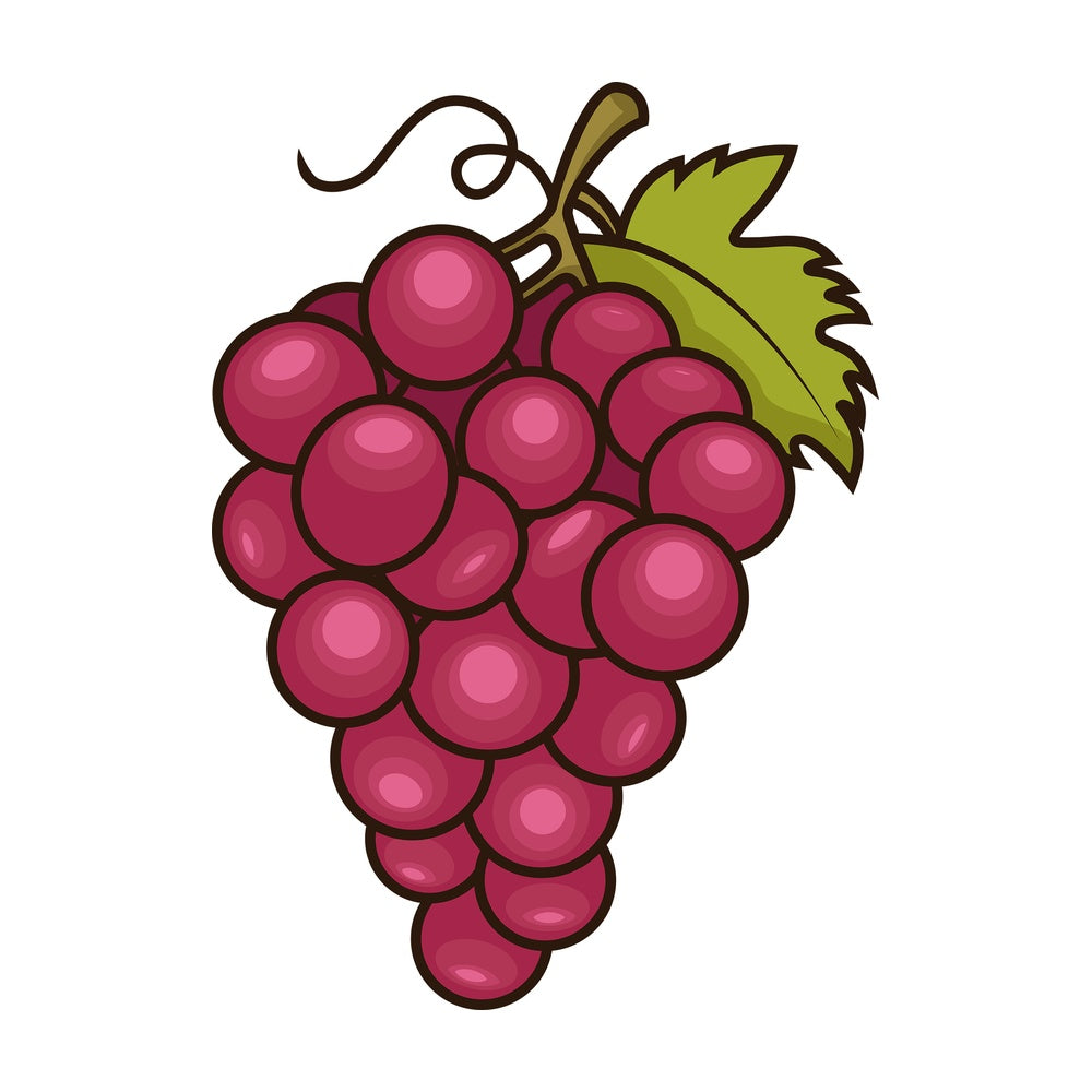 Red grapes. PNG - JPG and vector EPS file formats (infinitely scalable). Image isolated on transparent background.