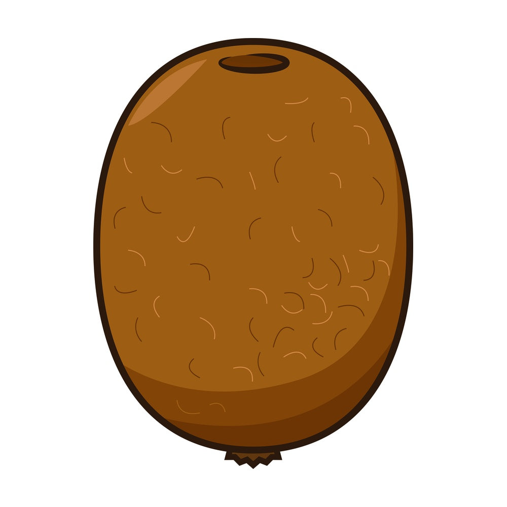 Kiwi fruit. PNG - JPG and vector EPS file formats (infinitely scalable). Image isolated on transparent background.