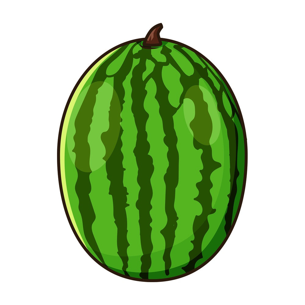 Watermelon fruit. PNG - JPG and vector EPS file formats (infinitely scalable). Image isolated on transparent background.