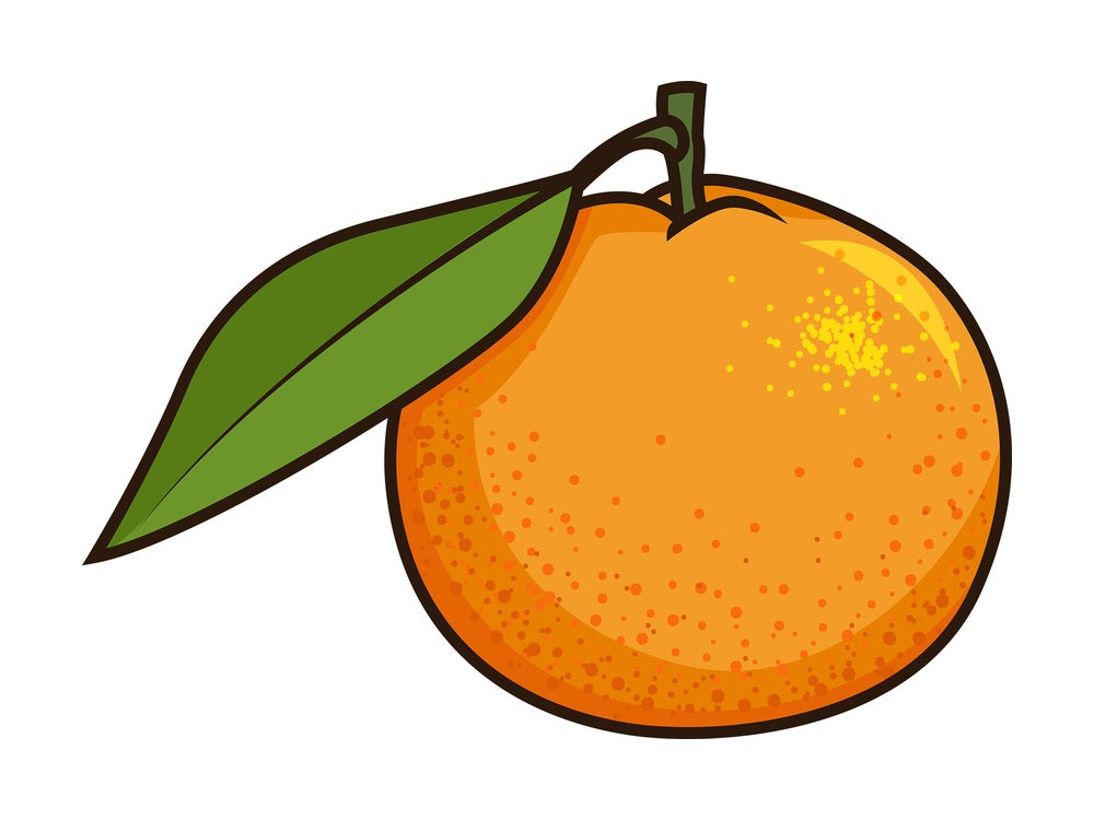 Clementine fruit. PNG - JPG and vector EPS file formats (infinitely scalable). Image isolated on transparent background.