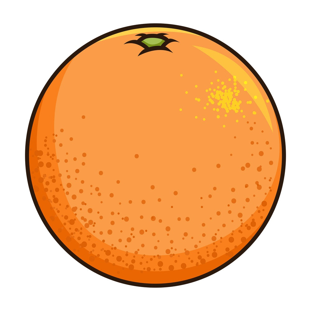 Fresh grapefruit. PNG - JPG and vector EPS file formats (infinitely scalable). Image isolated on transparent background.