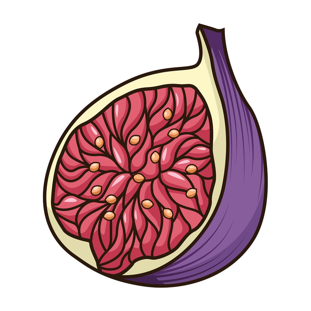 Fig cut open. PNG - JPG and vector EPS file formats (infinitely scalable). Image isolated on transparent background.