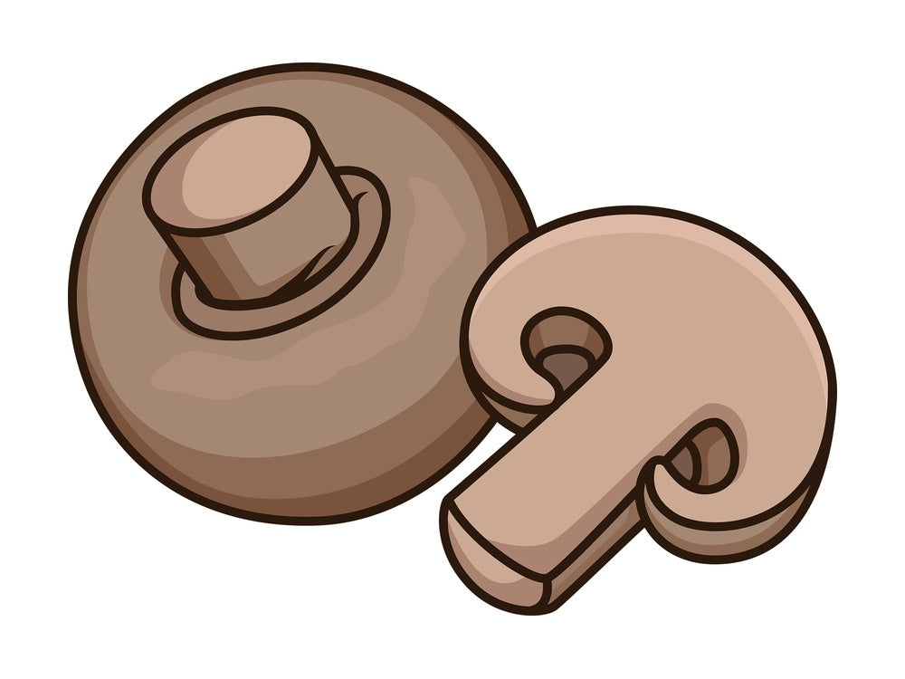 Common mushroom cut in half. PNG - JPG and vector EPS file formats (infinitely scalable). Image isolated on transparent background.