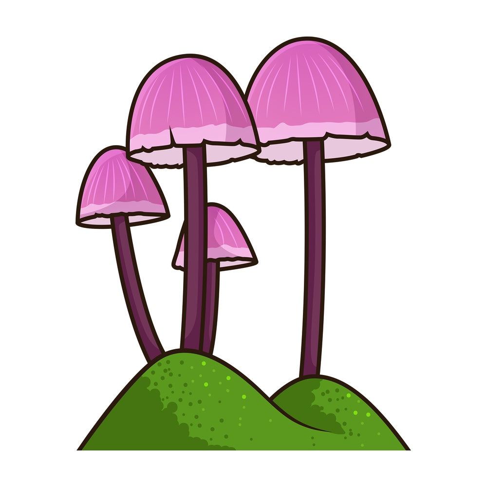 Pink mushroom. PNG - JPG and vector EPS file formats (infinitely scalable). Image isolated on transparent background.