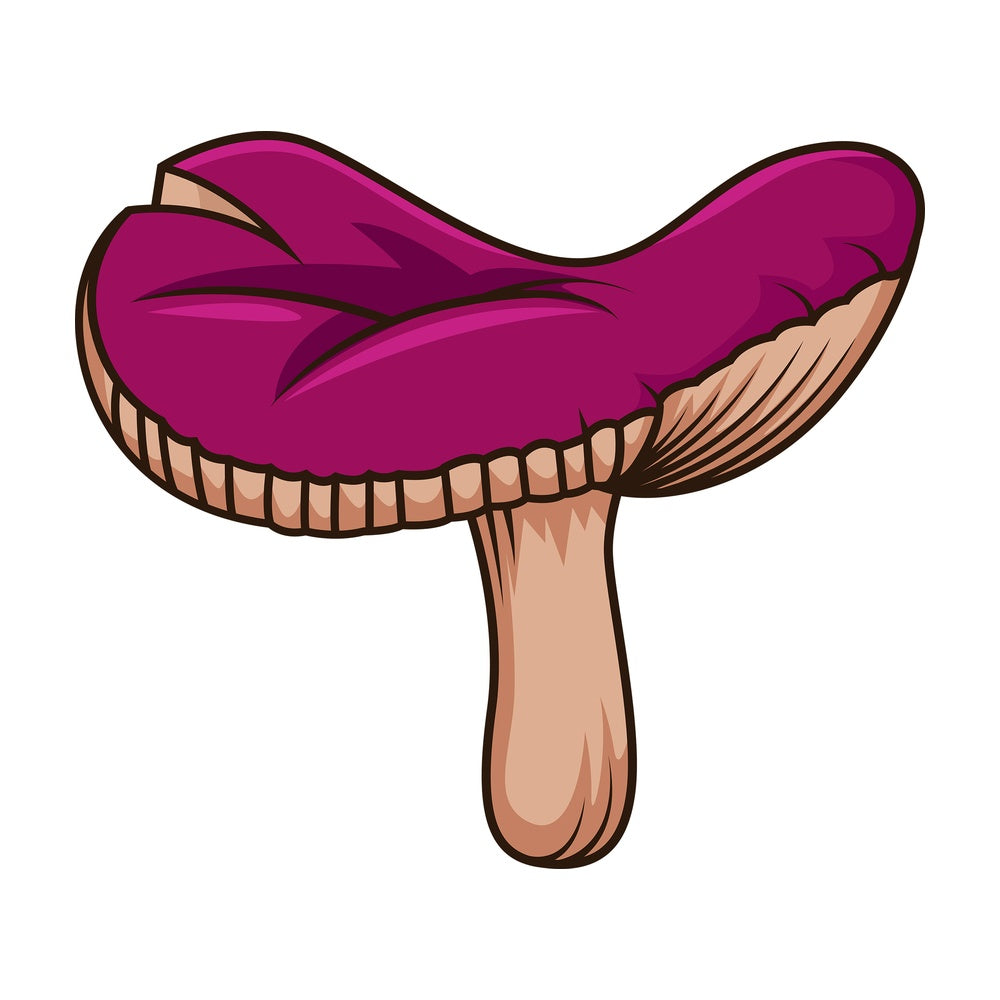 Purple mushroom. PNG - JPG and vector EPS file formats (infinitely scalable). Image isolated on transparent background.