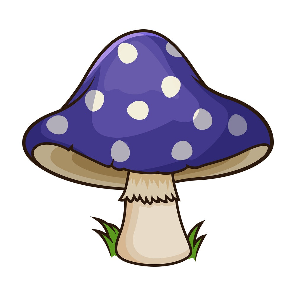 Blue dotted mushroom. PNG - JPG and vector EPS file formats (infinitely scalable). Image isolated on transparent background.