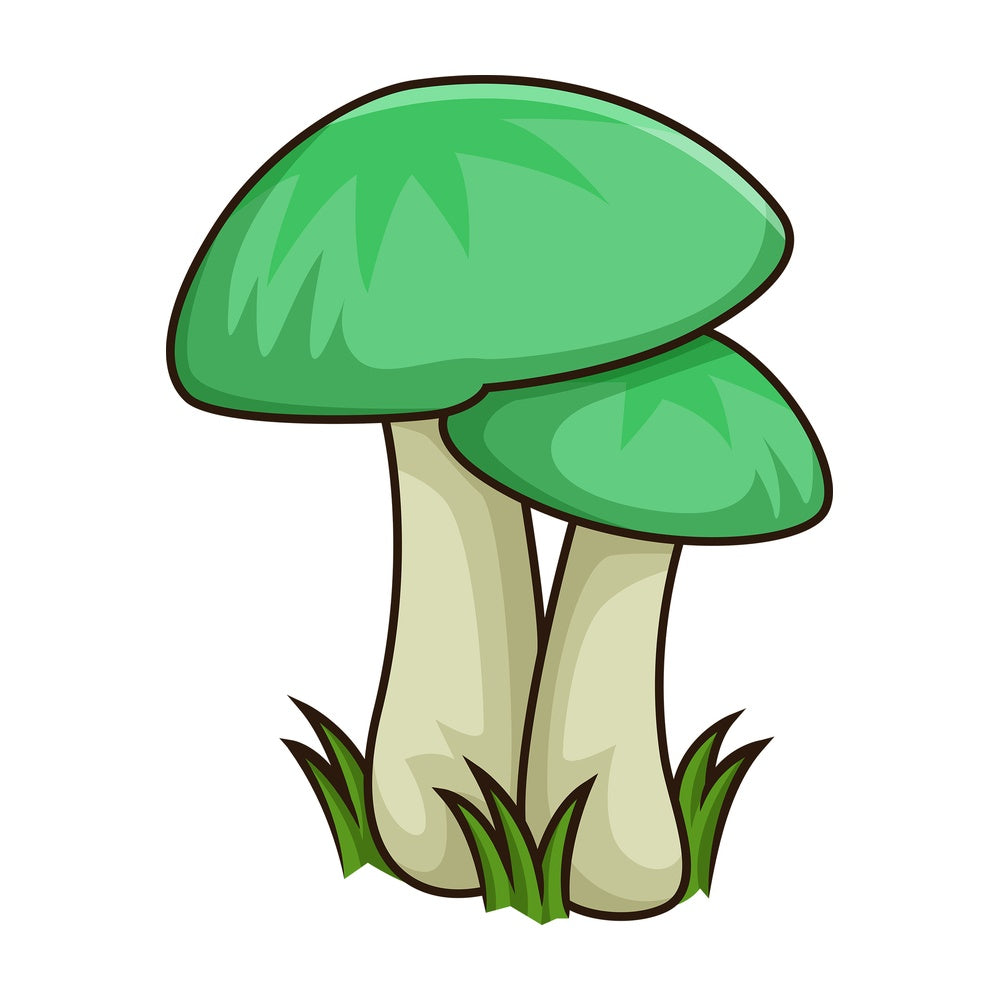 Green mushroom. PNG - JPG and vector EPS file formats (infinitely scalable). Image isolated on transparent background.