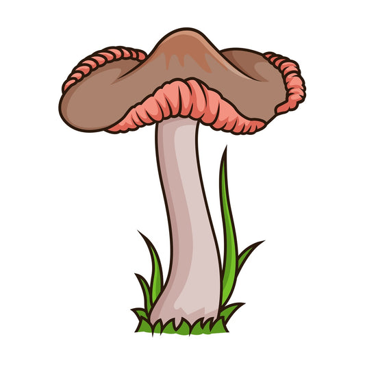 Odd wild mushroom. PNG - JPG and vector EPS file formats (infinitely scalable). Image isolated on transparent background.