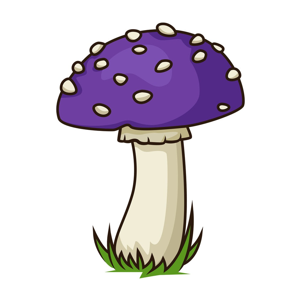 Bizarre purple mushroom. PNG - JPG and vector EPS file formats (infinitely scalable). Image isolated on transparent background.