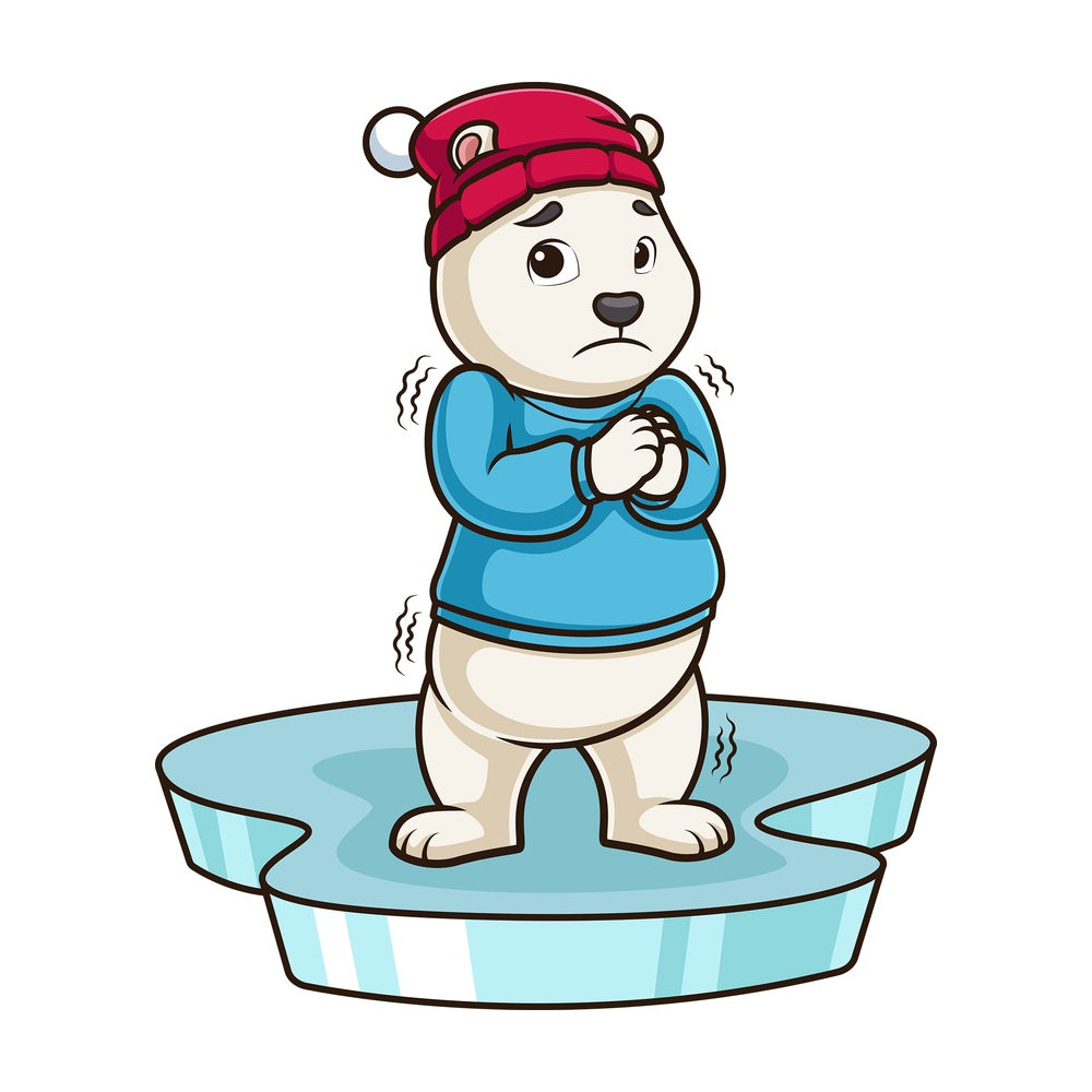 Polar bear shivering on ice floe. PNG - JPG and vector EPS (infinitely scalable).