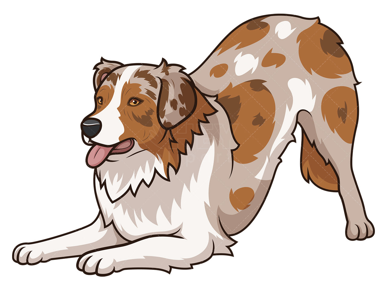 Royalty-free stock vector illustration of a playful australian shepherd.