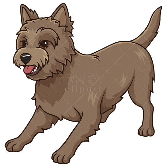 Royalty-free stock vector illustration of a playful cairn terrier.