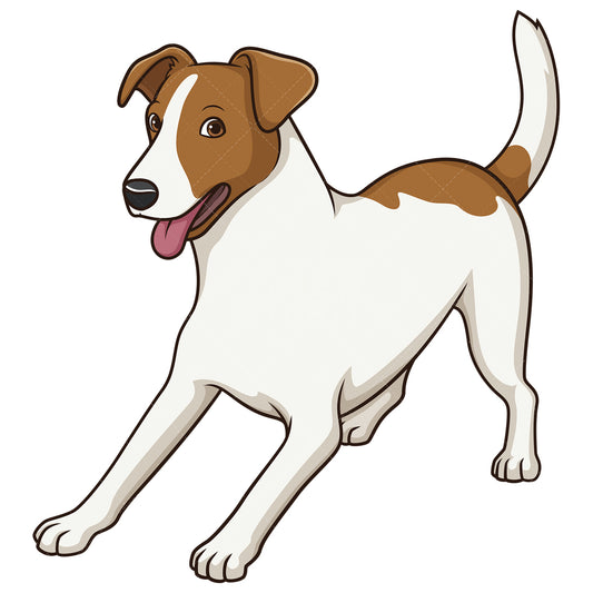 Royalty-free stock vector illustration of a playful jack russell dog.