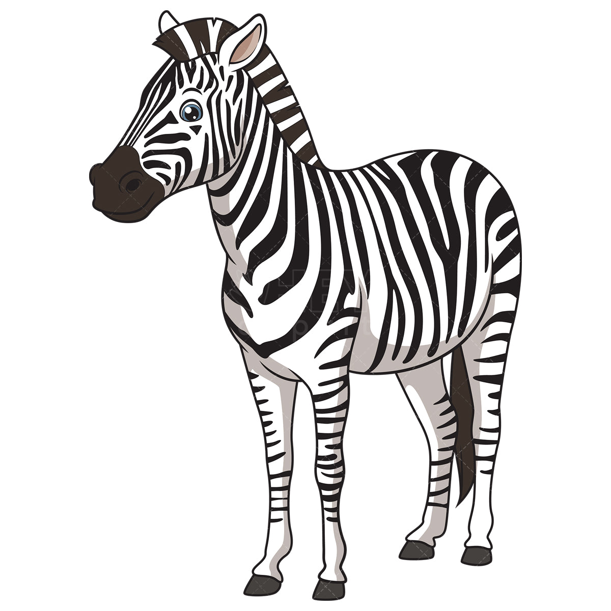 Royalty-free stock vector illustration of a realistic zebra.