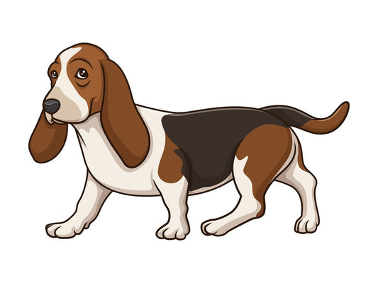 Basset hound walking. PNG - JPG and vector EPS (infinitely scalable).