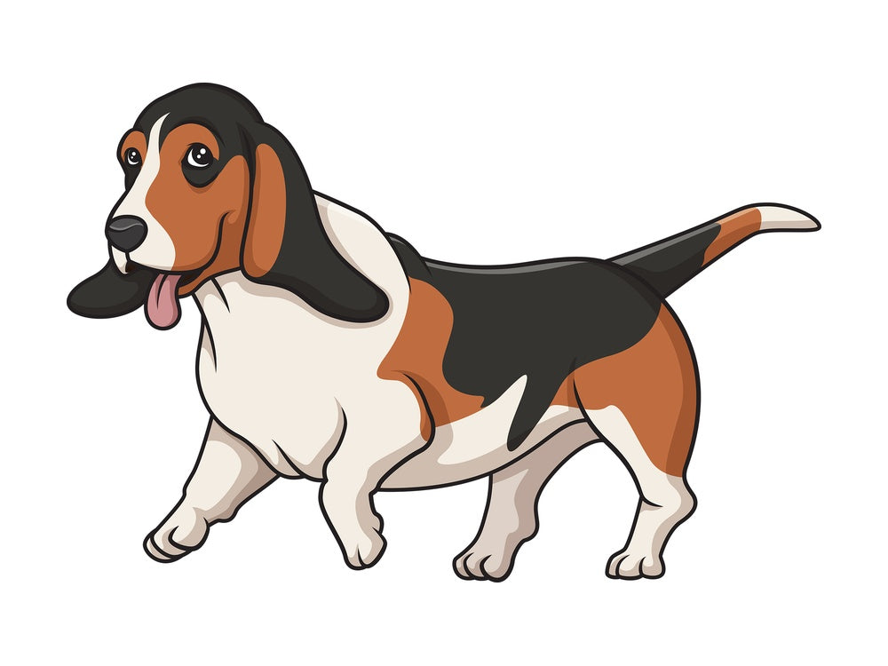 Basset hound running. PNG - JPG and vector EPS (infinitely scalable).