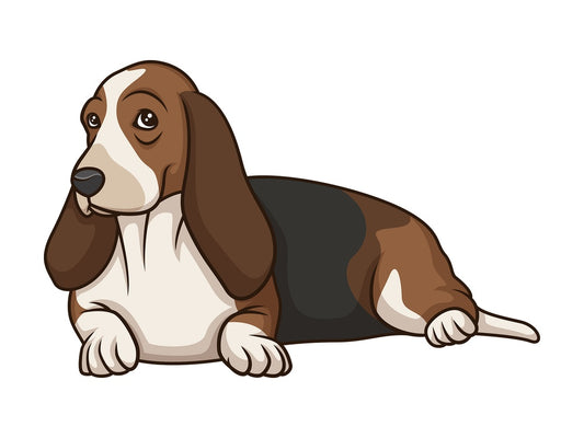Basset hound lying down. PNG - JPG and vector EPS (infinitely scalable).