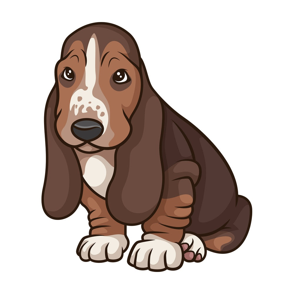 Cute basset hound puppy. PNG - JPG and vector EPS (infinitely scalable).