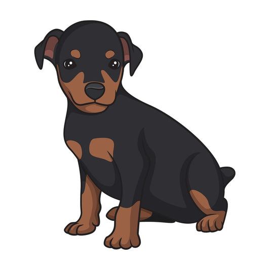 Cute mini pinscher puppy. PNG - JPG and vector EPS (infinitely scalable).