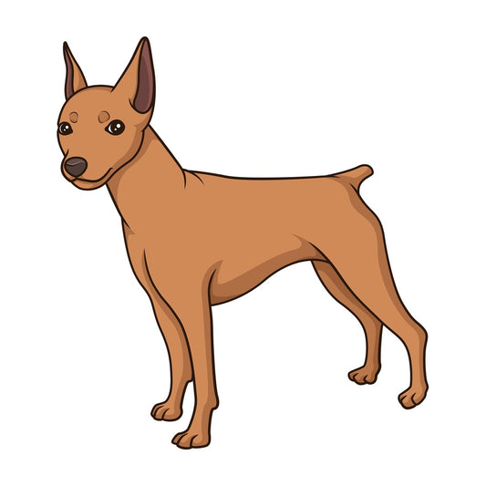 Proud mini pinscher. PNG - JPG and vector EPS (infinitely scalable).