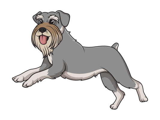 Standard schnauzer running. PNG - JPG and vector EPS (infinitely scalable).