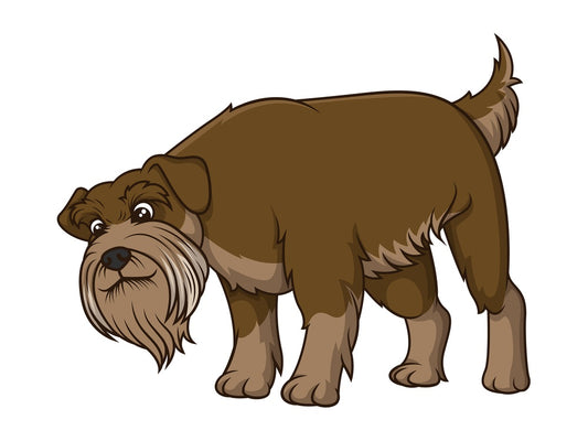 Brown schnauzer sniffing. PNG - JPG and vector EPS (infinitely scalable).