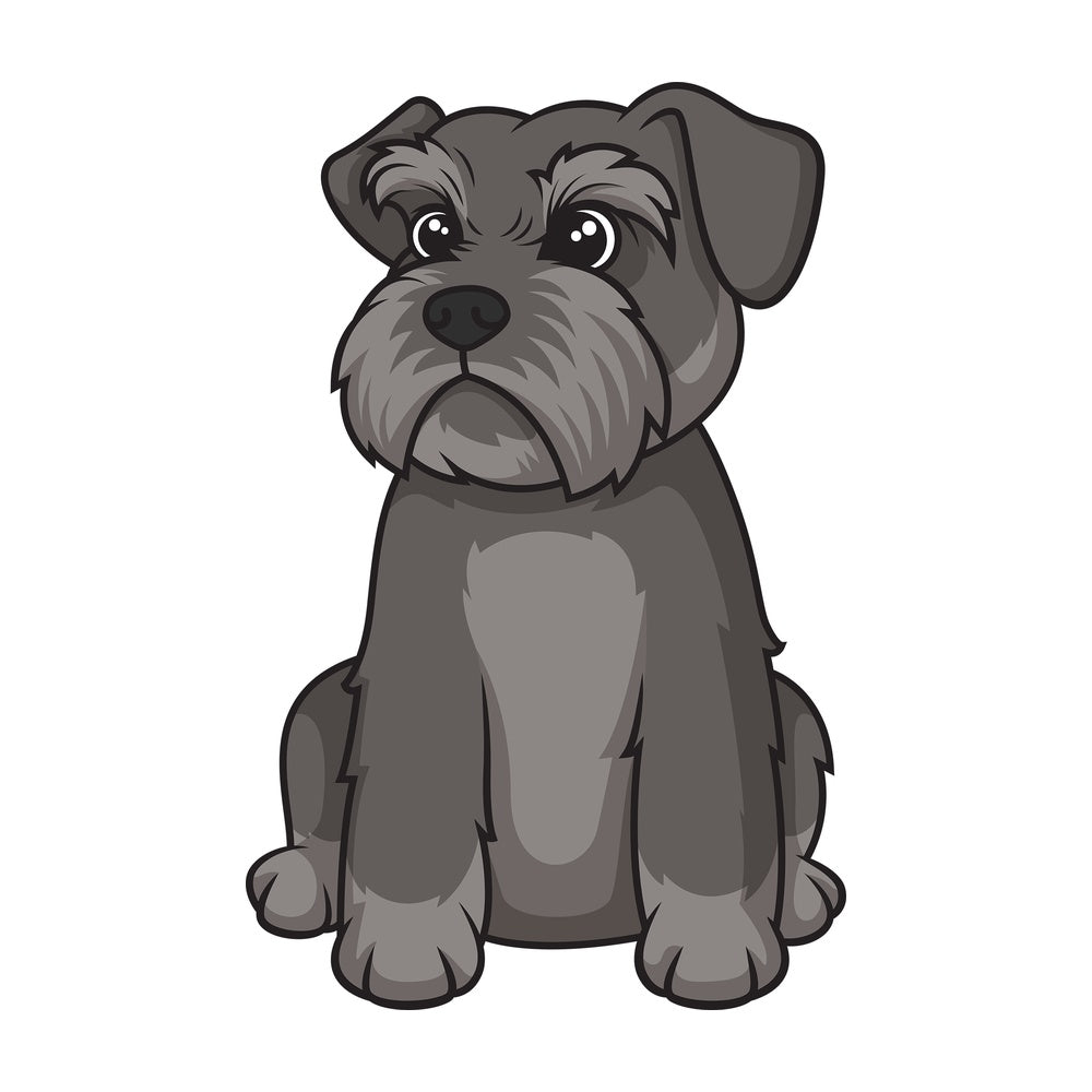 Cute schnauzer puppy. PNG - JPG and vector EPS (infinitely scalable).
