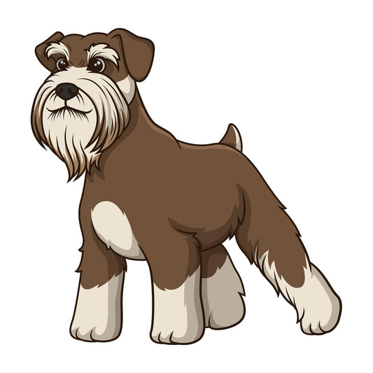 Proud standard schnauzer. PNG - JPG and vector EPS (infinitely scalable).